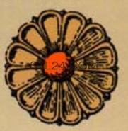 ROSETTE_2057